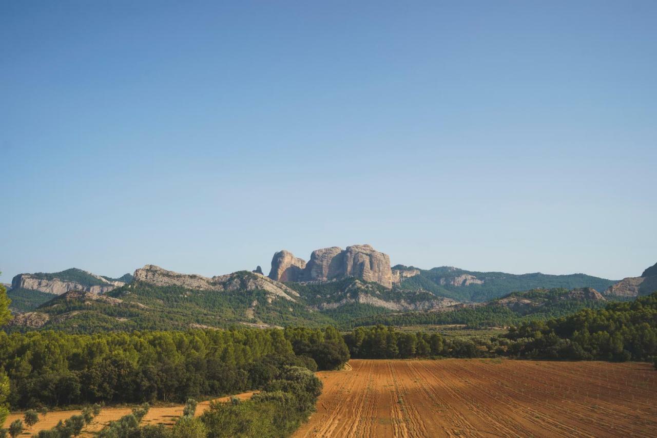 Casa Rural Mas Del Serranet 奥尔塔-德圣胡安 外观 照片
