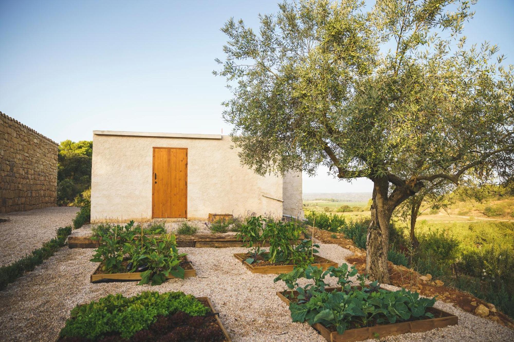 Casa Rural Mas Del Serranet 奥尔塔-德圣胡安 外观 照片