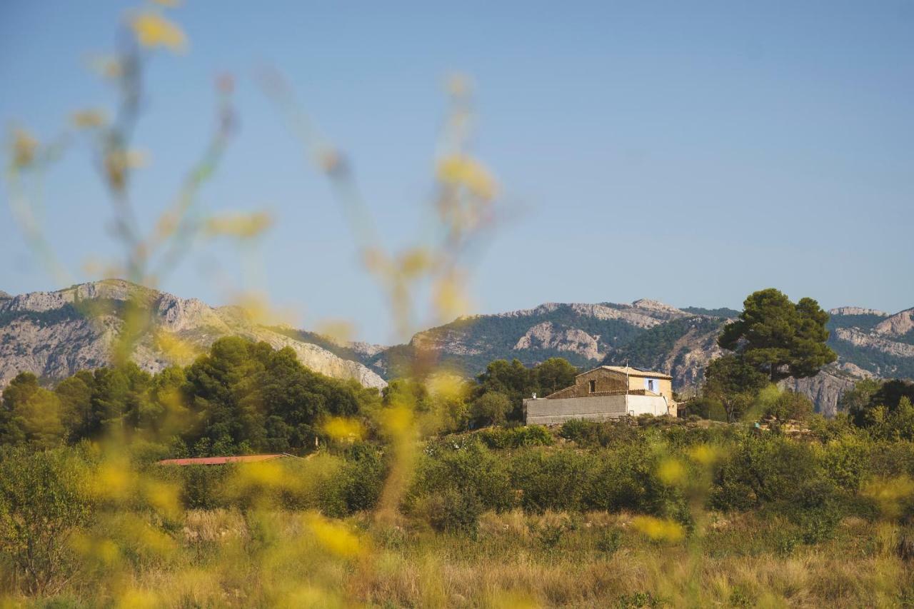 Casa Rural Mas Del Serranet 奥尔塔-德圣胡安 外观 照片